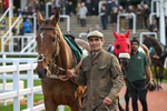 241025-Race 7-Animal-5064