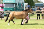 SBM_02437