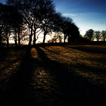 Winters Light