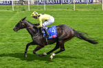 Race 3 2.40pm Sky Bet York Stakes portfolio