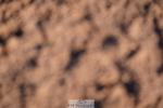240505A-184644-07685