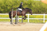 SBM_004533
