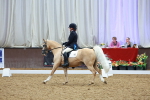 SBM_004312