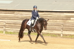 SBM_000353