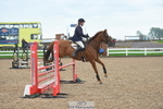 Cls 21 British Novice & 90cm Open portfolio