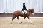 SBM_003249