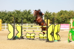 SBM_002190