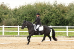 SBM_000256