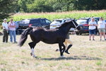WJ6_4880