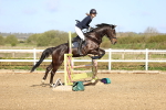 SBM_002953