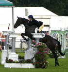 5  Show Jumping