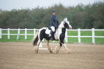 SBM_003362