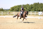 SBM_005498