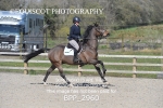 BPP_2960