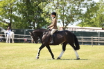 SBM_17856