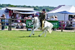 SBM_13959
