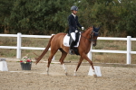SBM_015768