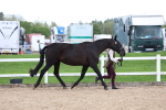 SBM_05043