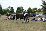 WJ6_5641