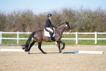 SBM_003329