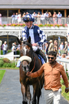 270626-Race 2-Cadarn-3883