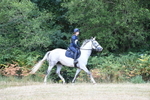 WJ5_1375