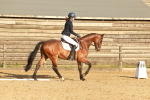 SBM_000489