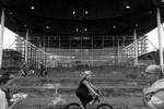 Senedd