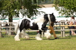 SBM_08783