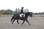 SBM_003321