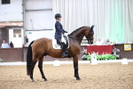 SBM_010033
