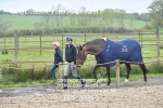 BPP_8949