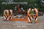 BPP_0661