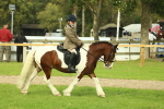 SBM_68228