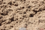 260424-102014-09377