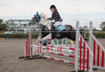 North Showjumping_2016-36