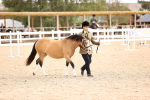 SBM_16058