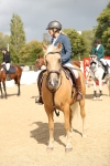 J30 - Senior Horse & Pony 70cm Championship portfolio