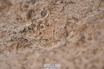 231015A-133856-08382
