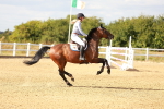 SBM_007688