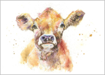 Jenny the Jersey Cow Fine Art Print 669