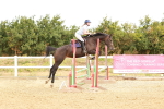 SBM_004934