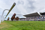Race 6 17.10pm Weatherbys Racing Bank Handicap portfolio