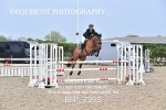 BPP_7395