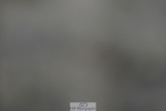 230909-190744-08479