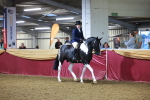 SBM_14878