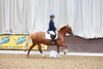 SBM_000955