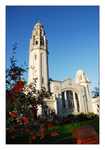 The White Church 2