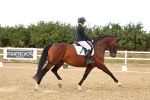 SBM_007593