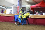 SBM_14691